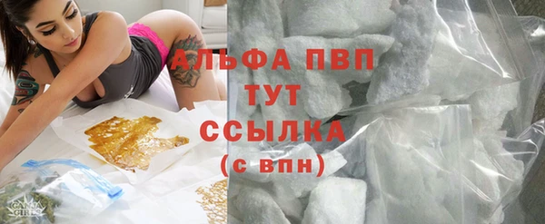 СК Горнозаводск