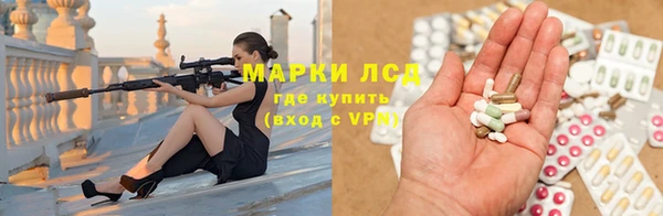 сатива Горняк