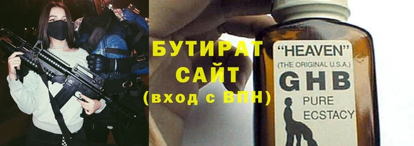 сатива Горняк