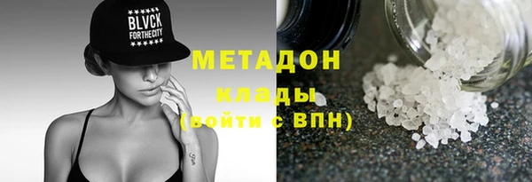 сатива Горняк