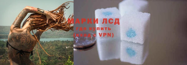 сатива Горняк