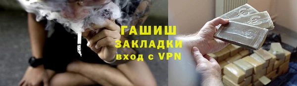 сатива Горняк