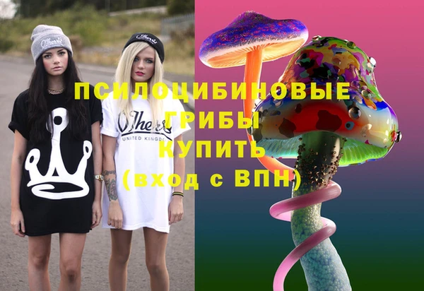 сатива Горняк