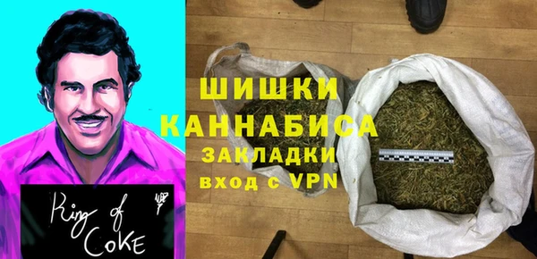 сатива Горняк