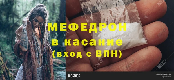 сатива Горняк