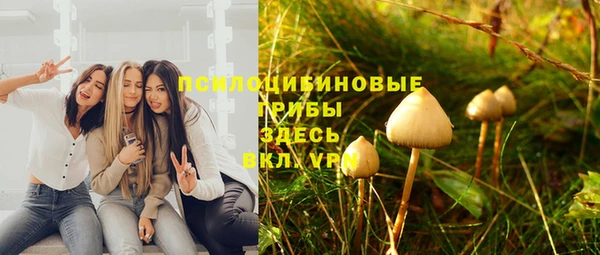 СК Горнозаводск
