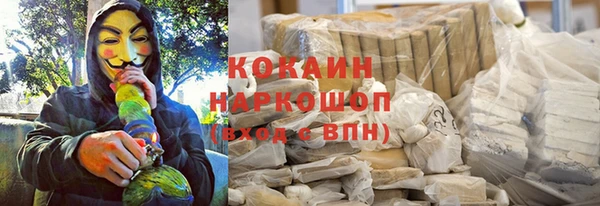 сатива Горняк