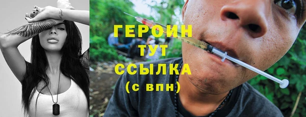 сатива Горняк