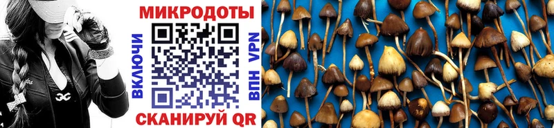 Псилоцибиновые грибы мухоморы Мончегорск